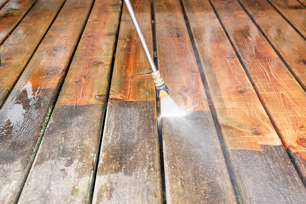 Best Local Pressure Washing Services  in Rolla, ND